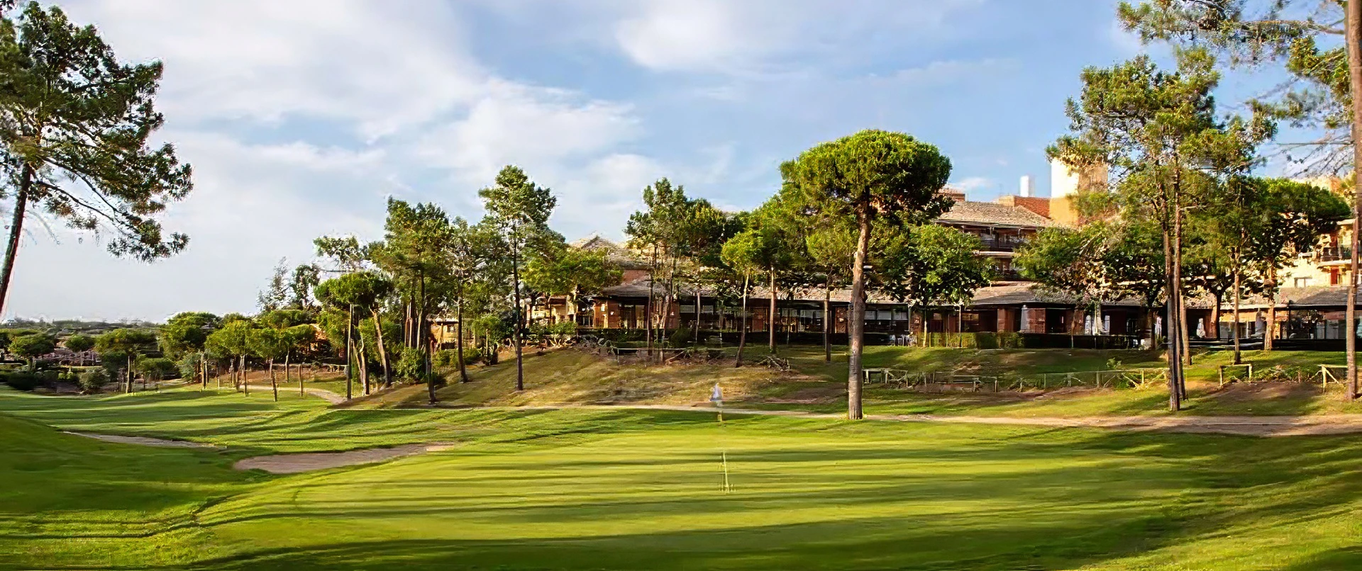 Double-tree-Islantilla-topaz-sharpen-denoise